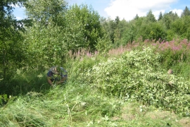 Продам участок в Шубинке