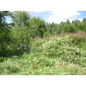 Продам участок в Шубинке